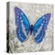 Blue Butterfly I-Alan Hopfensperger-Stretched Canvas