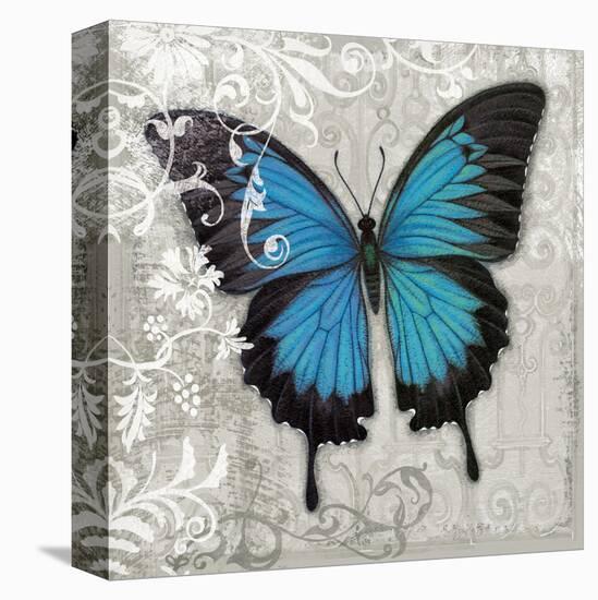 Blue Butterfly II-Alan Hopfensperger-Stretched Canvas