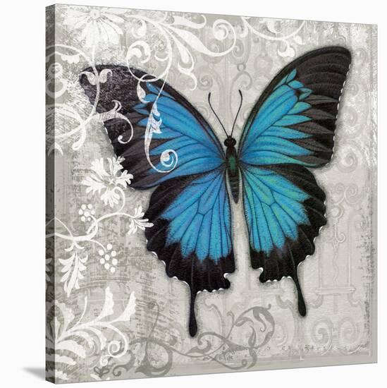 Blue Butterfly II-Alan Hopfensperger-Stretched Canvas