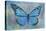 Blue Butterfly Watercolor-Cora Niele-Premier Image Canvas