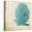 Blue Coral II-Anna Polanski-Stretched Canvas