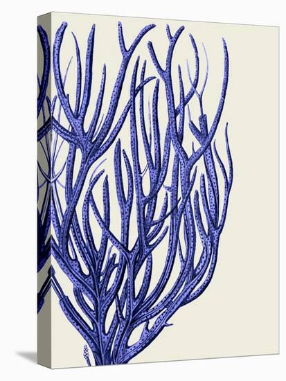 Blue Corals 2 c-Fab Funky-Stretched Canvas