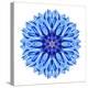 Blue Cornflower Mandala Flower Kaleidoscope-tr3gi-Stretched Canvas