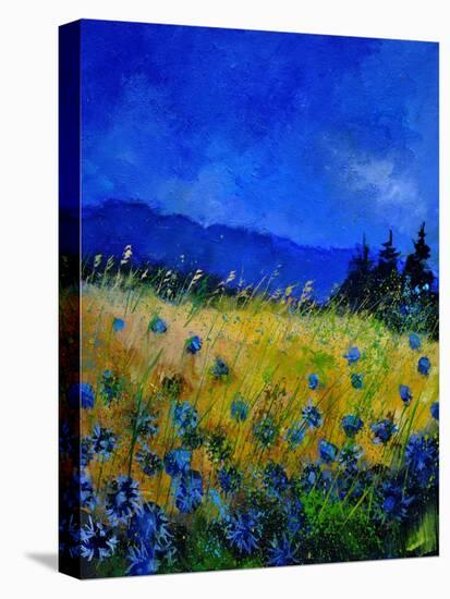 Blue Cornflowers 4550-Pol Ledent-Stretched Canvas