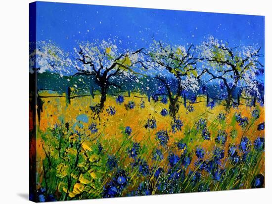 Blue Cornflowers 545130-Pol Ledent-Stretched Canvas