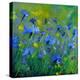 Blue Cornflowers 555160-Pol Ledent-Stretched Canvas