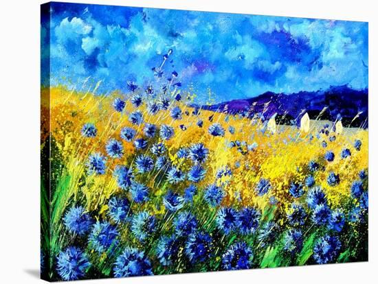 Blue cornflowers 68-Pol Ledent-Stretched Canvas