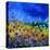 Blue Cornflowers 7741-Pol Ledent-Stretched Canvas