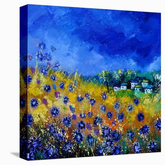 Blue Cornflowers 7741-Pol Ledent-Stretched Canvas