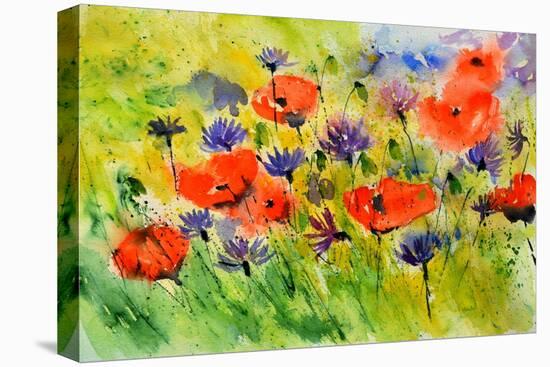 Blue Cornflowers And Red Poppies-Pol Ledent-Stretched Canvas