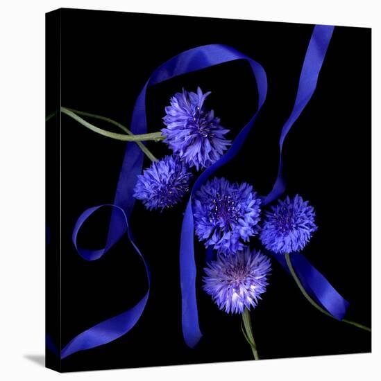 Blue Cornflowers-Magda Indigo-Premier Image Canvas