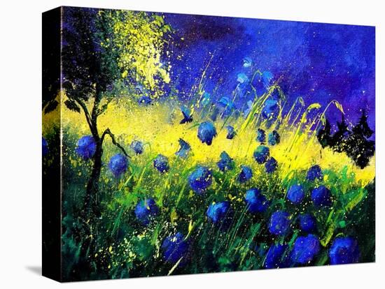 Blue cornflowers-Pol Ledent-Stretched Canvas