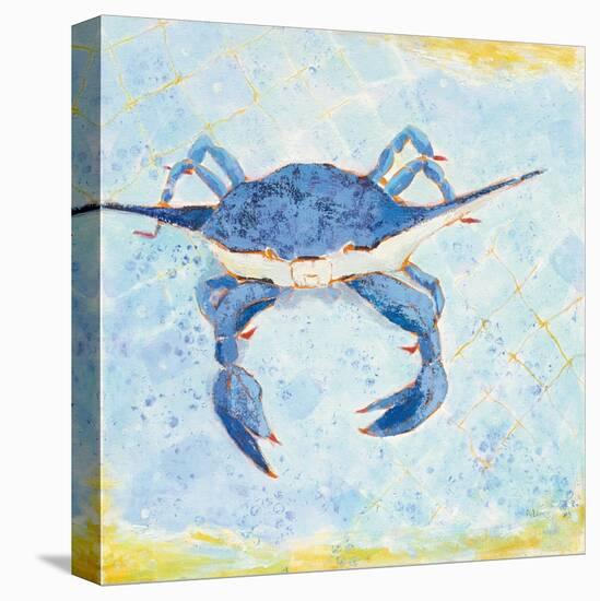 Blue Crab VI-Phyllis Adams-Stretched Canvas