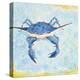 Blue Crab VI-Phyllis Adams-Stretched Canvas