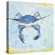 Blue Crab VI-Phyllis Adams-Stretched Canvas