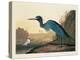 Blue Crane or Heron Plate 307-Porter Design-Premier Image Canvas