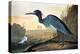 Blue Crane or Heron-John James Audubon-Premier Image Canvas