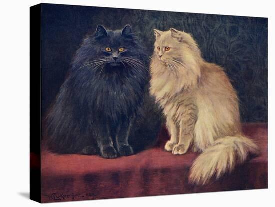 Blue, Cream Persian Cats-W. Luker-Stretched Canvas
