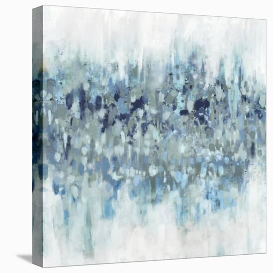 Blue Crossing II-Dan Meneely-Stretched Canvas