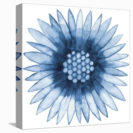 Blue Daisy-Cathe Hendrick-Stretched Canvas