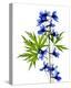 Blue Delphinium-Judy Stalus-Stretched Canvas