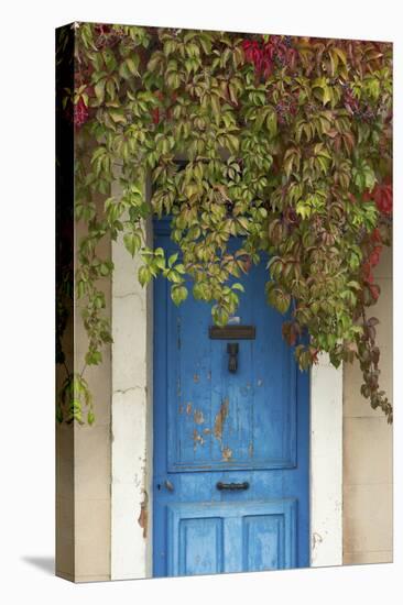 Blue Doorway with Grape Vines (Vitis) Puyloubier, Var, Provence, France, October 2012-David Noton-Premier Image Canvas