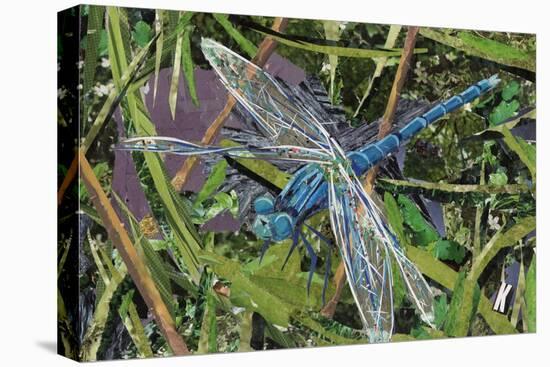 Blue Dragonfly-Kirstie Adamson-Premier Image Canvas