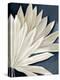 Blue Dry Palms II-Alex Black-Stretched Canvas