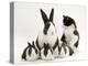 Blue Dutch Rabbit and Four 3-Week Babies and Black-And-White Kitten-Jane Burton-Premier Image Canvas