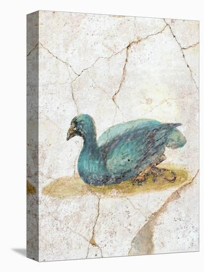 Blue Feathered Duck, C. 10-45-null-Stretched Canvas