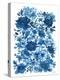 Blue Floral-Leslie Trimbach-Stretched Canvas