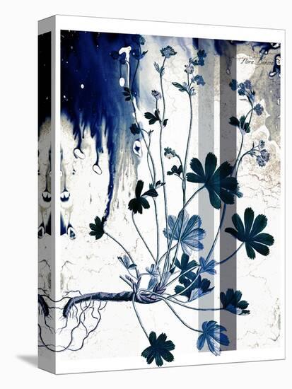 Blue Flower 02-Flora Danica-Stretched Canvas