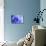 Blue Flower-PhotoINC-Premier Image Canvas displayed on a wall