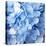 Blue Flowers-null-Premier Image Canvas