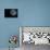 Blue Full Moon Isolated on a Black Sky-Steve Collender-Premier Image Canvas displayed on a wall