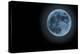 Blue Full Moon Isolated on a Black Sky-Steve Collender-Premier Image Canvas