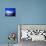 Blue Geese-Josh Adamski-Premier Image Canvas displayed on a wall