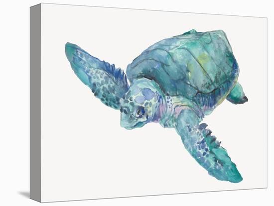 Blue Great Sea Turtle II-Jacob Q-Stretched Canvas
