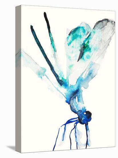 Blue & Green Dragonfly-Karin Johannesson-Stretched Canvas