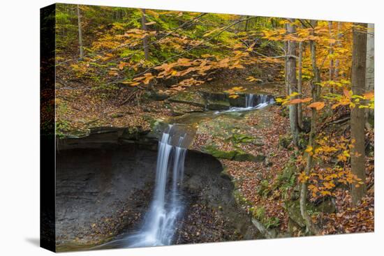 Blue Hens Falls in Autumn in Cuyahoga National Park, Ohio, USA-Chuck Haney-Premier Image Canvas