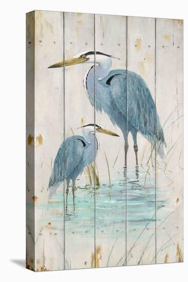 Blue Heron Duo-Arnie Fisk-Stretched Canvas