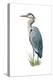 Blue Heron - Icon-Lantern Press-Stretched Canvas