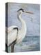 Blue Heron On Blue I-Patricia Pinto-Stretched Canvas