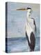 Blue Heron On Blue II-Patricia Pinto-Stretched Canvas