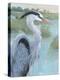 Blue Heron Portrait II-Tim OToole-Stretched Canvas