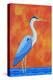 Blue Heron-Casey Craig-Stretched Canvas