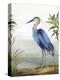 Blue Heron-Aimee Wilson-Stretched Canvas