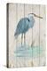 Blue Heron-Arnie Fisk-Stretched Canvas