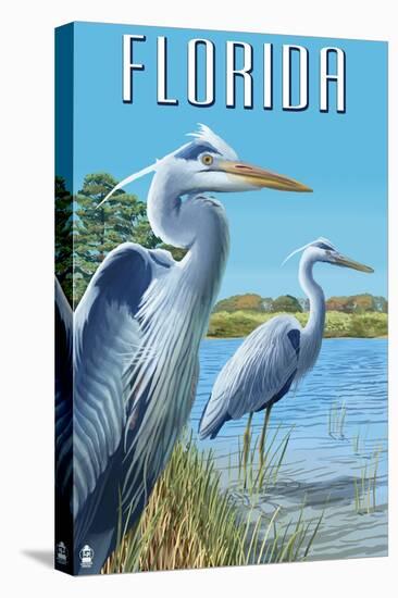 Blue Herons in Grass - Florida-Lantern Press-Stretched Canvas