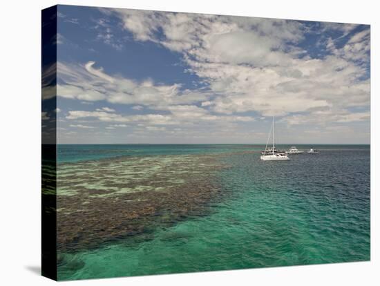 Blue Hole, World Heritage Site, Belize-Michele Westmorland-Premier Image Canvas